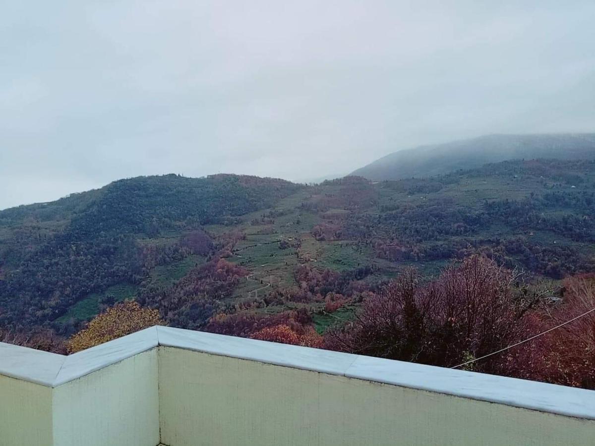 Evridiki 호텔 자고라 외부 사진