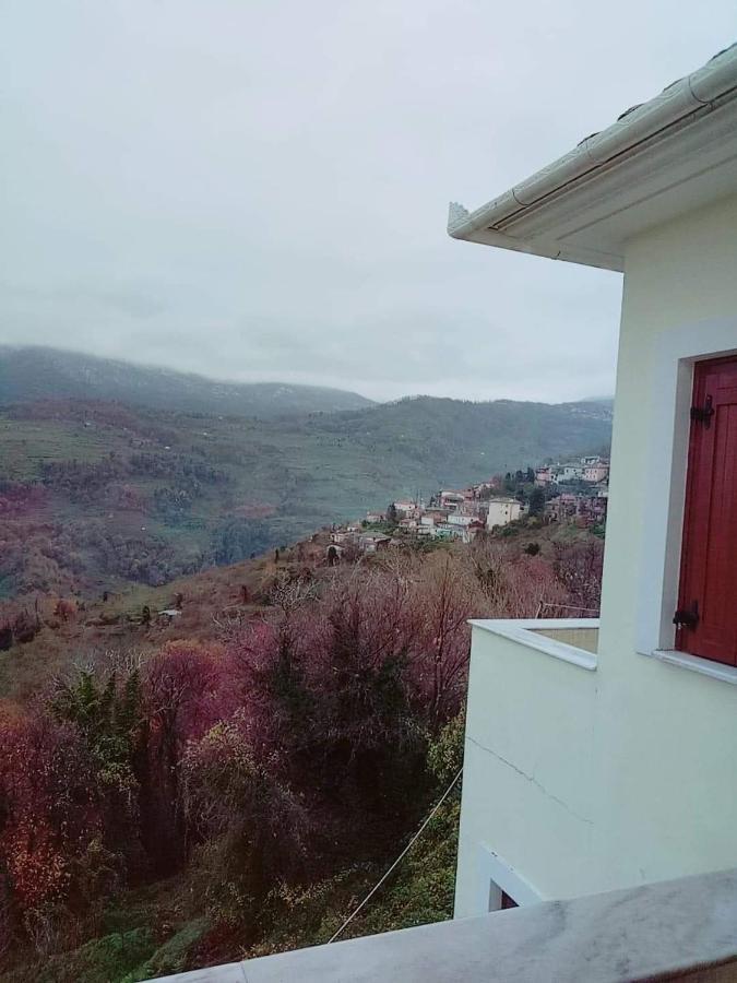 Evridiki 호텔 자고라 외부 사진